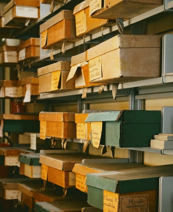 Shelves of labeled archive boxes.