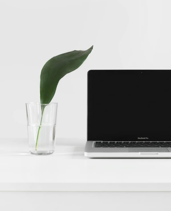 A laptop on a white desk beside a single leaf in a glass.